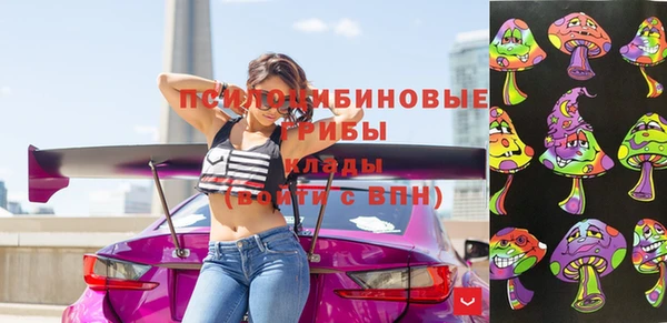 дурь Арсеньев