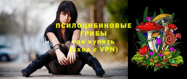 дурь Арсеньев